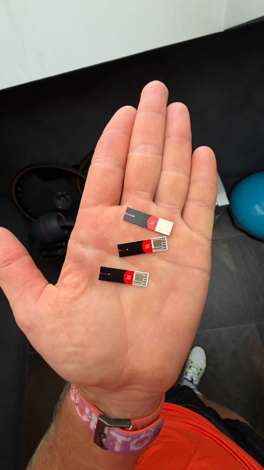 Производство и клиренс лактата во время нагрузки